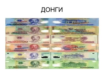 Конвертер донги