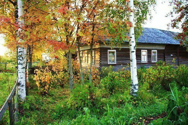 Вспомни свой дом. Домик в деревне с березами. Родительский дом. Отчий дом. Родной дом.