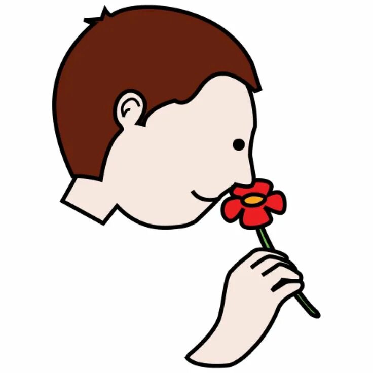 Why you smell this flower