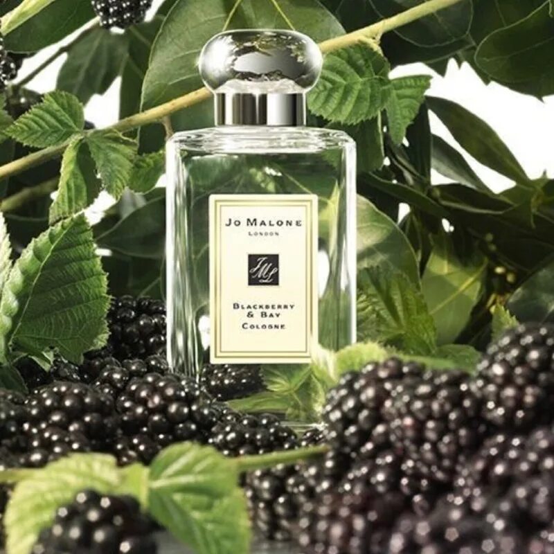 Духи джо малон ежевика. Духи jo malone blackberry bay cologne. Джо малон блэкберри бэй. Аромат blackberry. Jo malone духи blackberry bay.