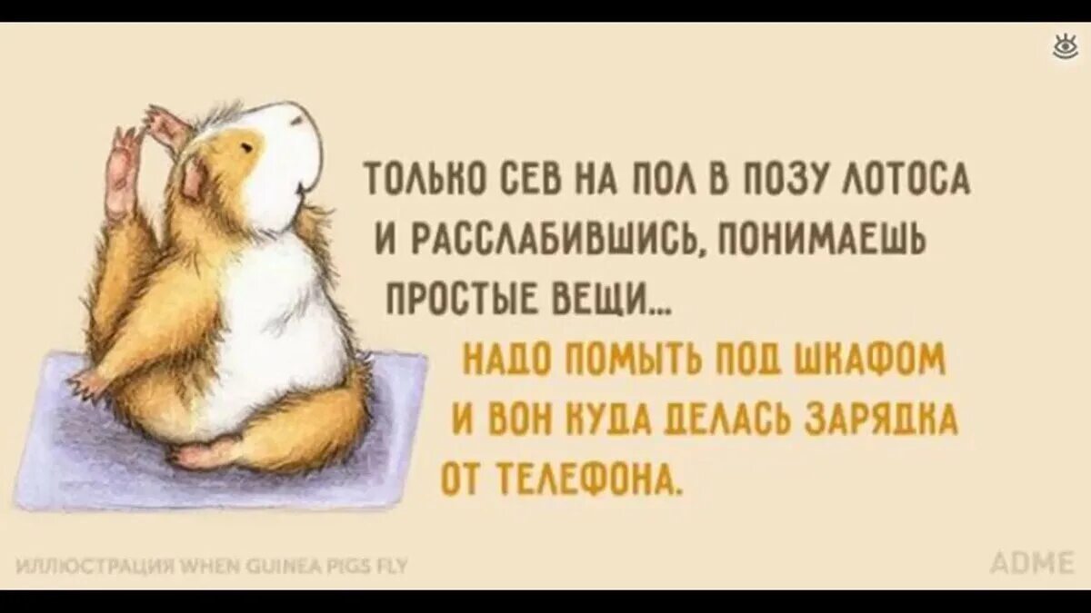 Расслабься на английском. Йога смешные афоризмы. Смешные высказывания про йогу. Цитаты про йогу смешные. Афоризмы про йогу прикольные.