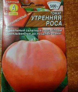 Помидоры утренняя роса