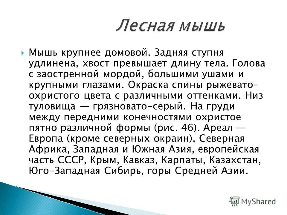 Не превышает в длину. Не превышает в длину