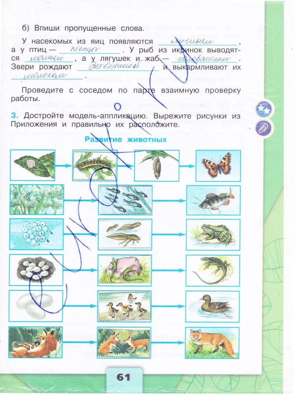 Окружающий тетрадь 3 класс. Гдз по окружающему миру 3 класс Плешаков рабочая тетрадь страница 61.