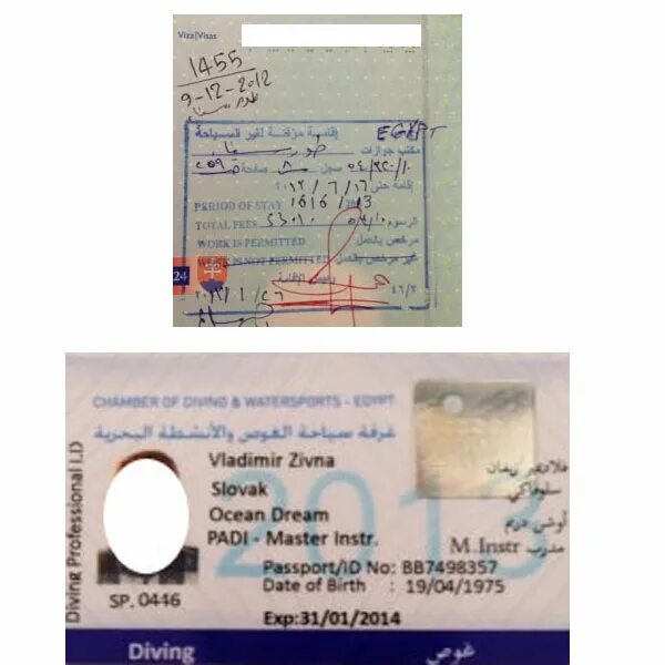 Виза в каир. Как выглядит разрешение на работу в Египте. Egypt work permit.