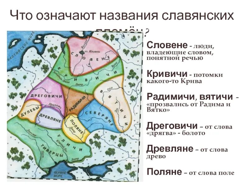 Кривичи история племени. Вятичи Кривичи Поляне древляне. Словене Кривичи и Вятичи. Вятичи древляне дреговичи Поляне. Славяне древляне Кривичи Поляне.