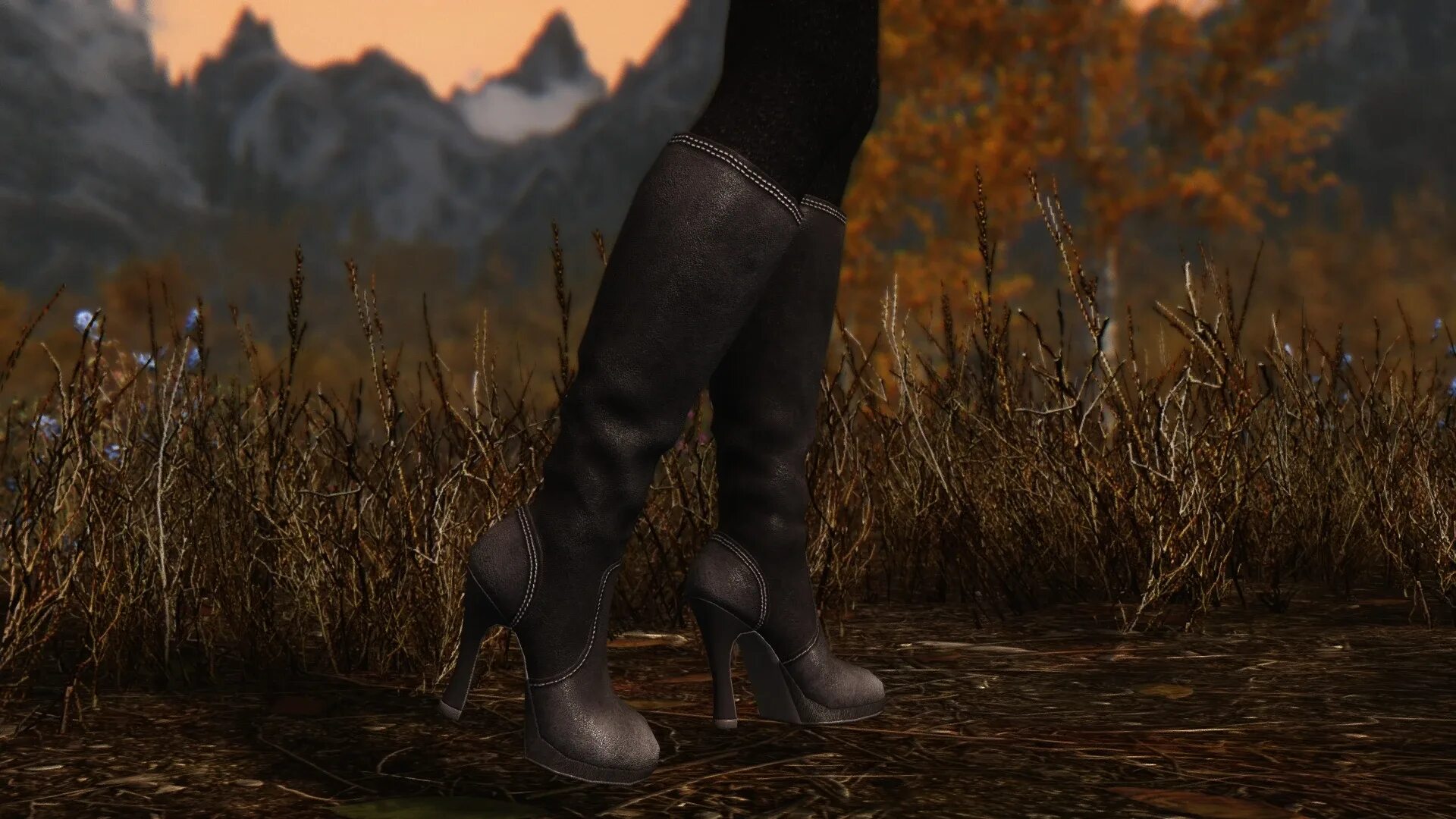 Фоллаут 4 мод на женские сапоги. Сапоги unp для скайрима. Сапоги unp для скайрима se. Скайрим мод каблук. Skyrim туфли cbbe.