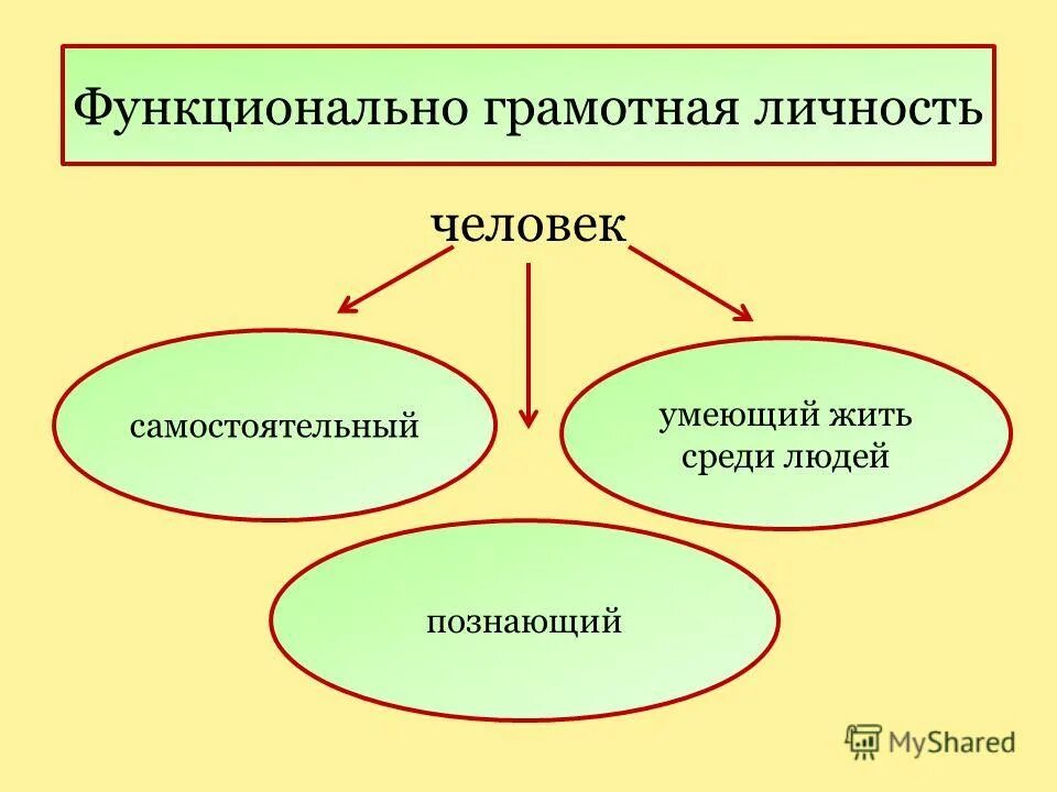 Функциональная грамотность позвоночные животные 2 класс