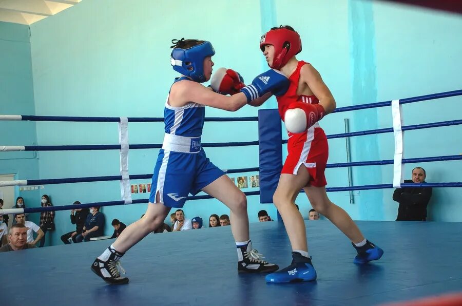 золотые перчатки старый оскол. фок золотые перчатки старый оскол. спортивная школа олимпийского резерва золотые перчатки, старый оскол. боксерский зал золотые перчатки. золотые перчатки старый оскол.