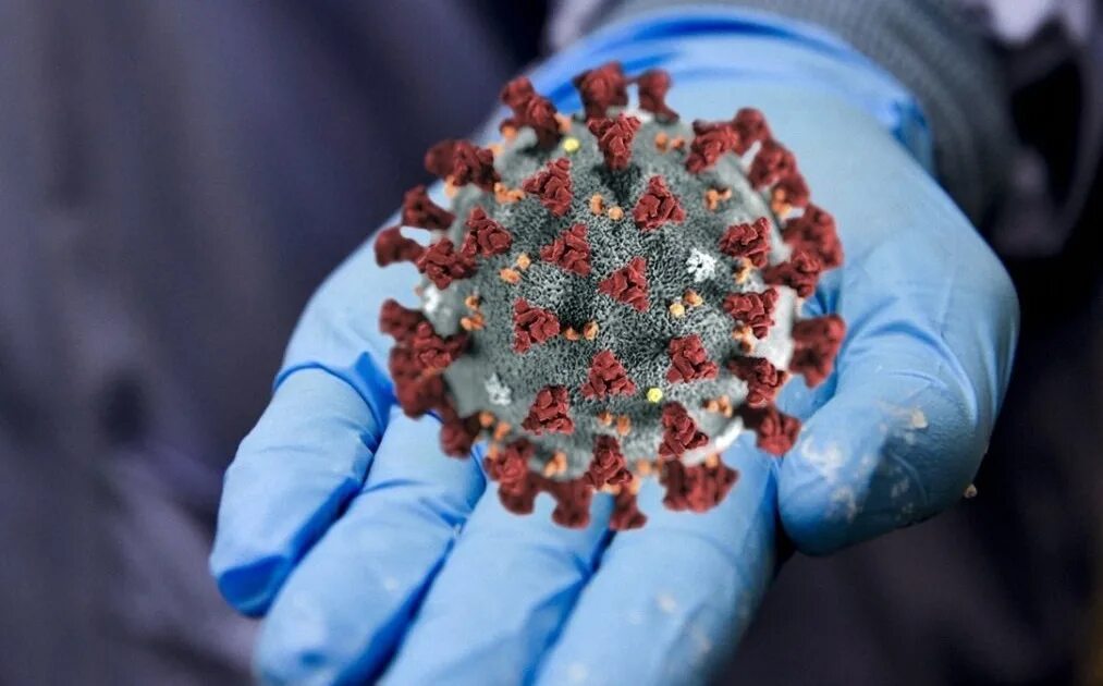 Сируновирус. Коронавируса covid-19. Пути распространения коронавирусной инфекции. Коронавирус статистика диаграмма. Коронавирус способы передачи.