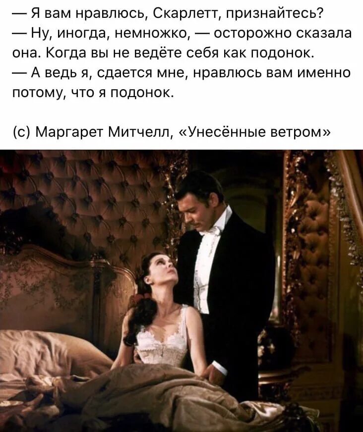 Ну признай. Gone with the Wind. Фразы из Унесенные ветром. Цитаты из Унесенные ветром. Высказывания Скарлетт.