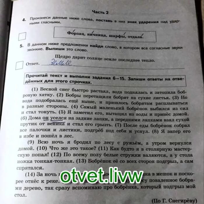 Вода поднялась и затопила бобровую хатку. Текст бобренок. вода поднялась и затопила бобровую. весной вода поднялась и затопила бобровую хатку ответы. весной снег растаял быстро вода поднялась основная мысль.