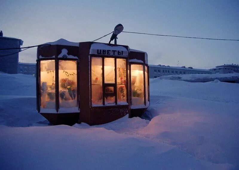 Петергоф ольгин пруд и павильоны. Зим павильоны. Павильон snow cloud. Зим павильоны. Зим павильоны.