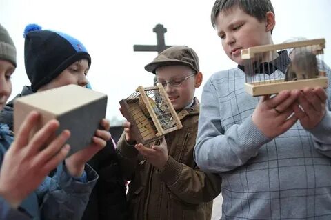 На волю птицу выпускаю