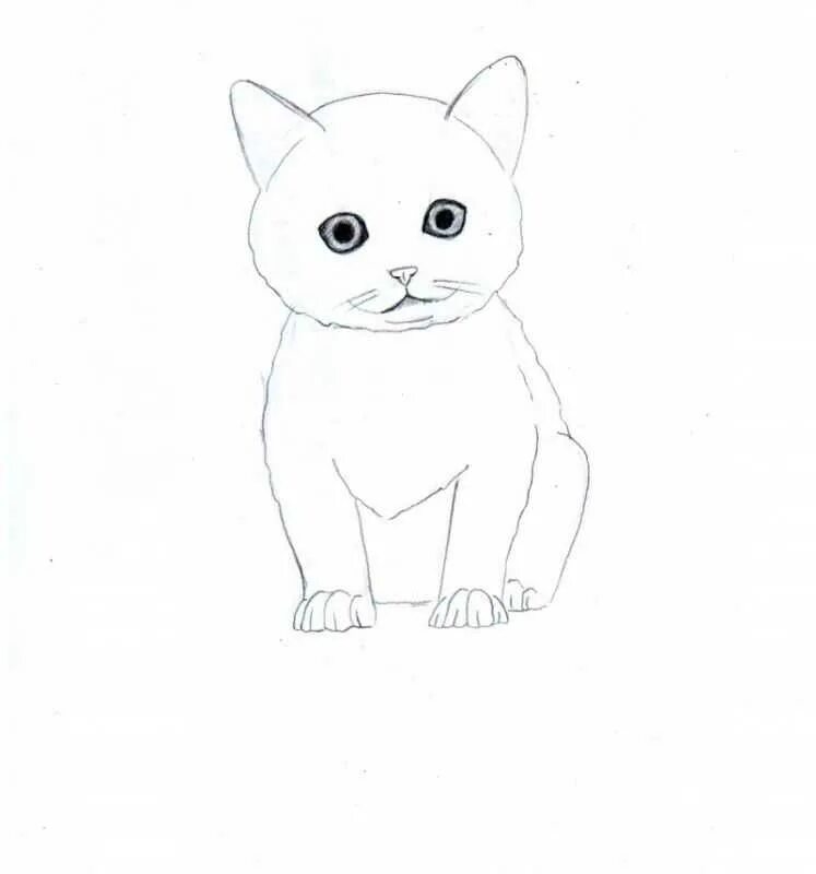 Рисовать котенка легко. Котята карандашом для начинающих. Самый легкий рисунок котенка. Рисунок котика легкий детский. Котёнок рисунок карандашом.