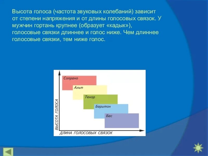 Высота голоса это. Высота голоса. Высота голоса зависит от. Высота голоса зависит от голосовых связок. От чего зависит высота голоса человека.