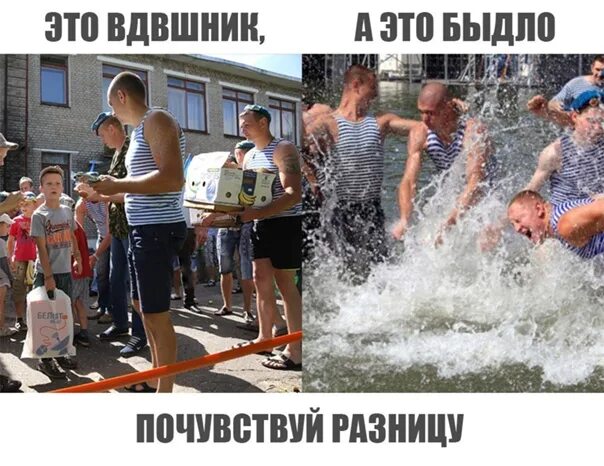 Определение слова быдло. Быдло, а не человек. почувствуй разницу мем.