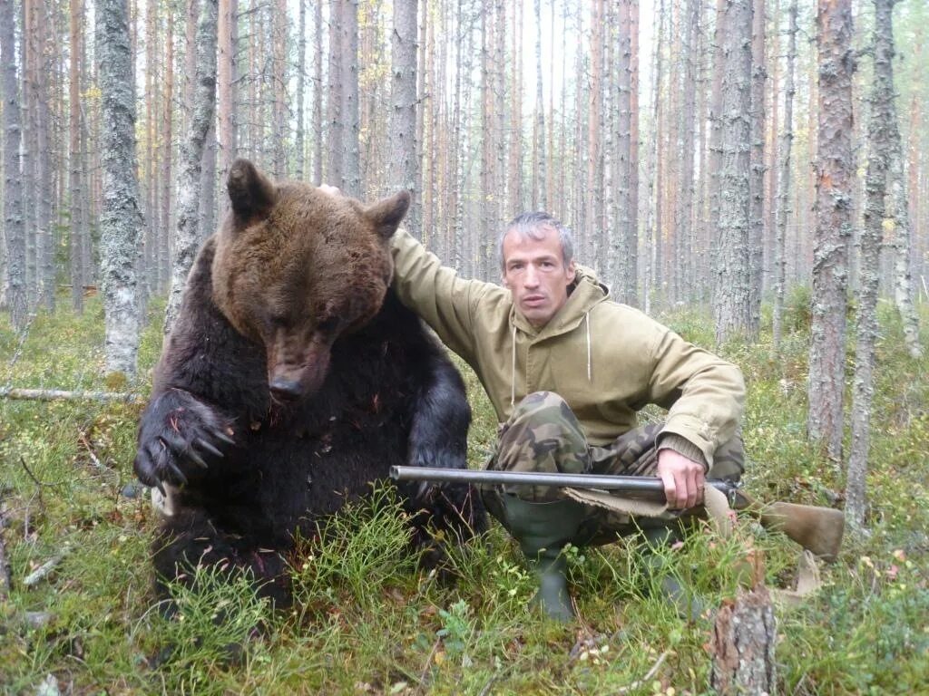 Медведь в тайге. Охотник.