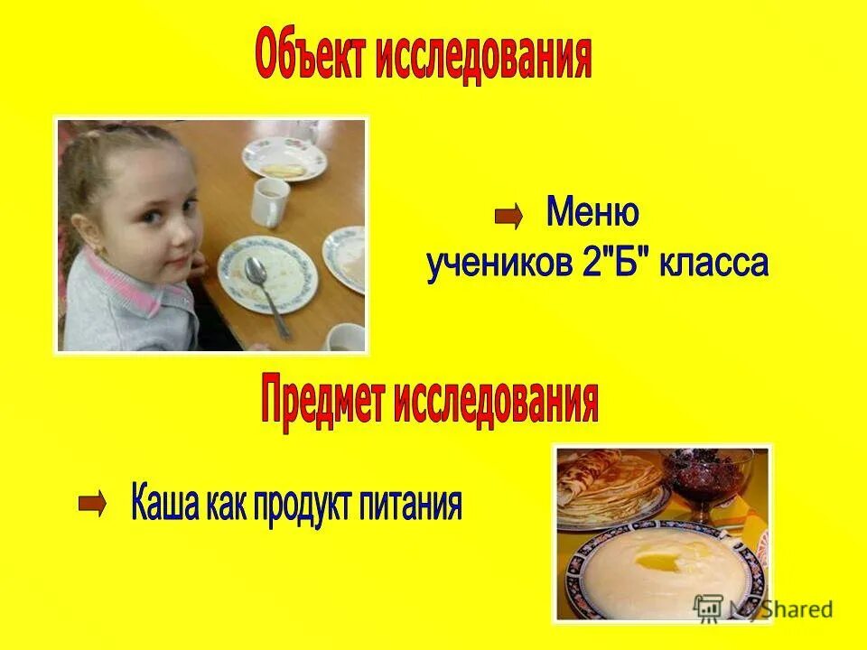 какая фамилия у каши