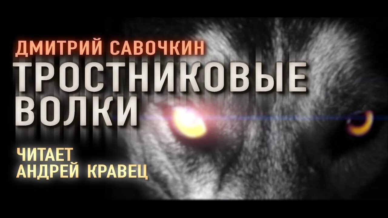 Волки выбирают пряности. Слушать аудиокнигу плохой волк. Молли ред вульф. Wolf cover. Molly red wolf.