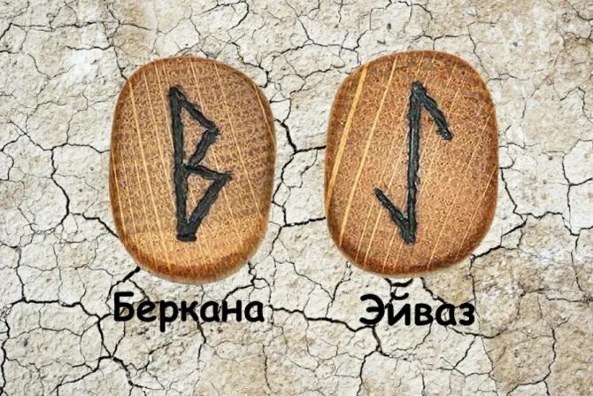 Значение руны эйваз. Скандинавская руна эйваз. Руна эйваз значение. Скандинавская руна эйваз. Описание руны эйваз.