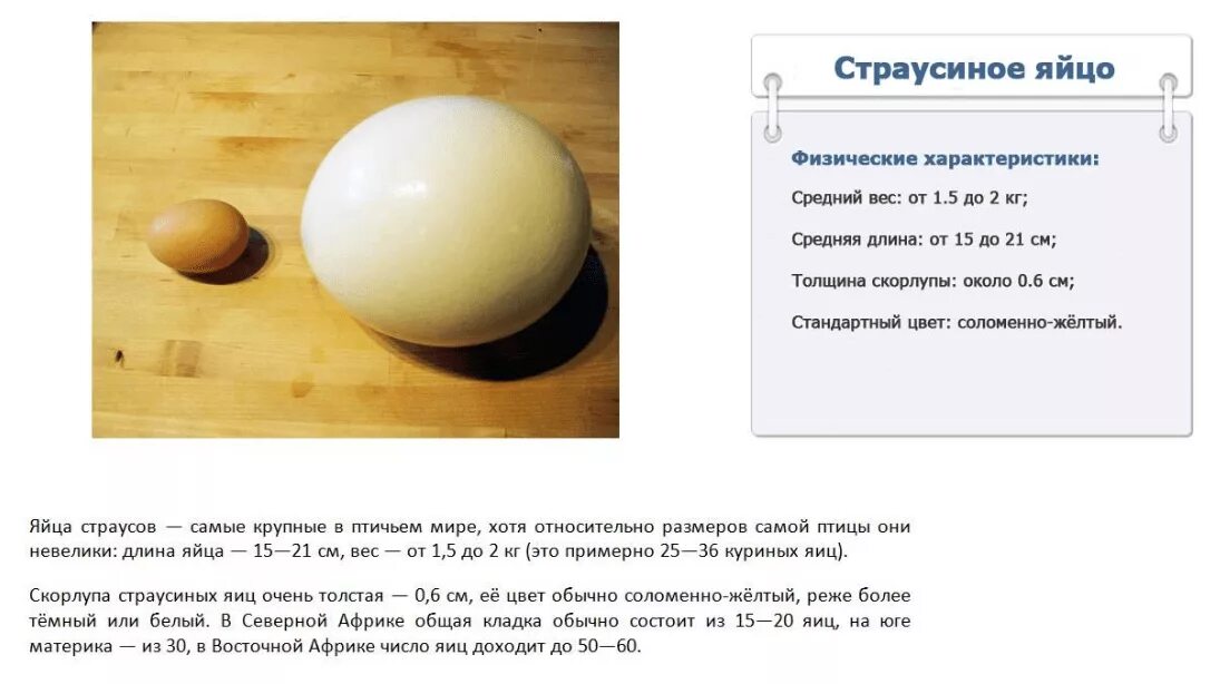 Сколько яиц в коробке куриных