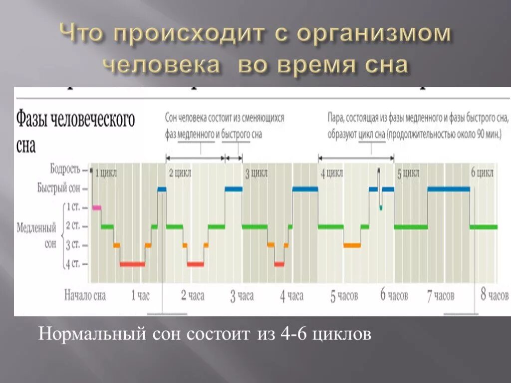 Фазы пробуждения. Фазы сна таблица. Фазы сна диаграмма. Механизмы быстрого и медленного сна. Процессы медленного сна.