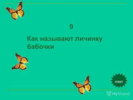 У бабочек личинку называют