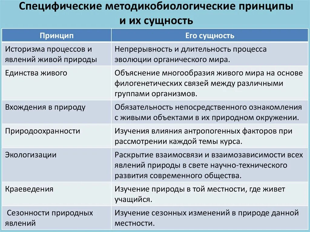 Принципы обучения. Основные принципы дидактики. Дидактические принципы обучения. Принципы обучения таблица. Принципы методики изучения