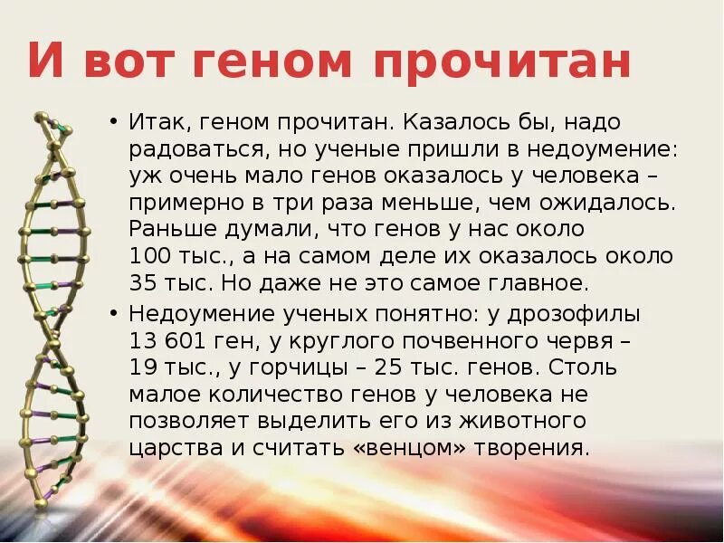 Сколько примерно генов содержится в геноме человека. Понятие о геноме человека. геном человека что это простыми словами. ген это простыми словами. ген и геном.