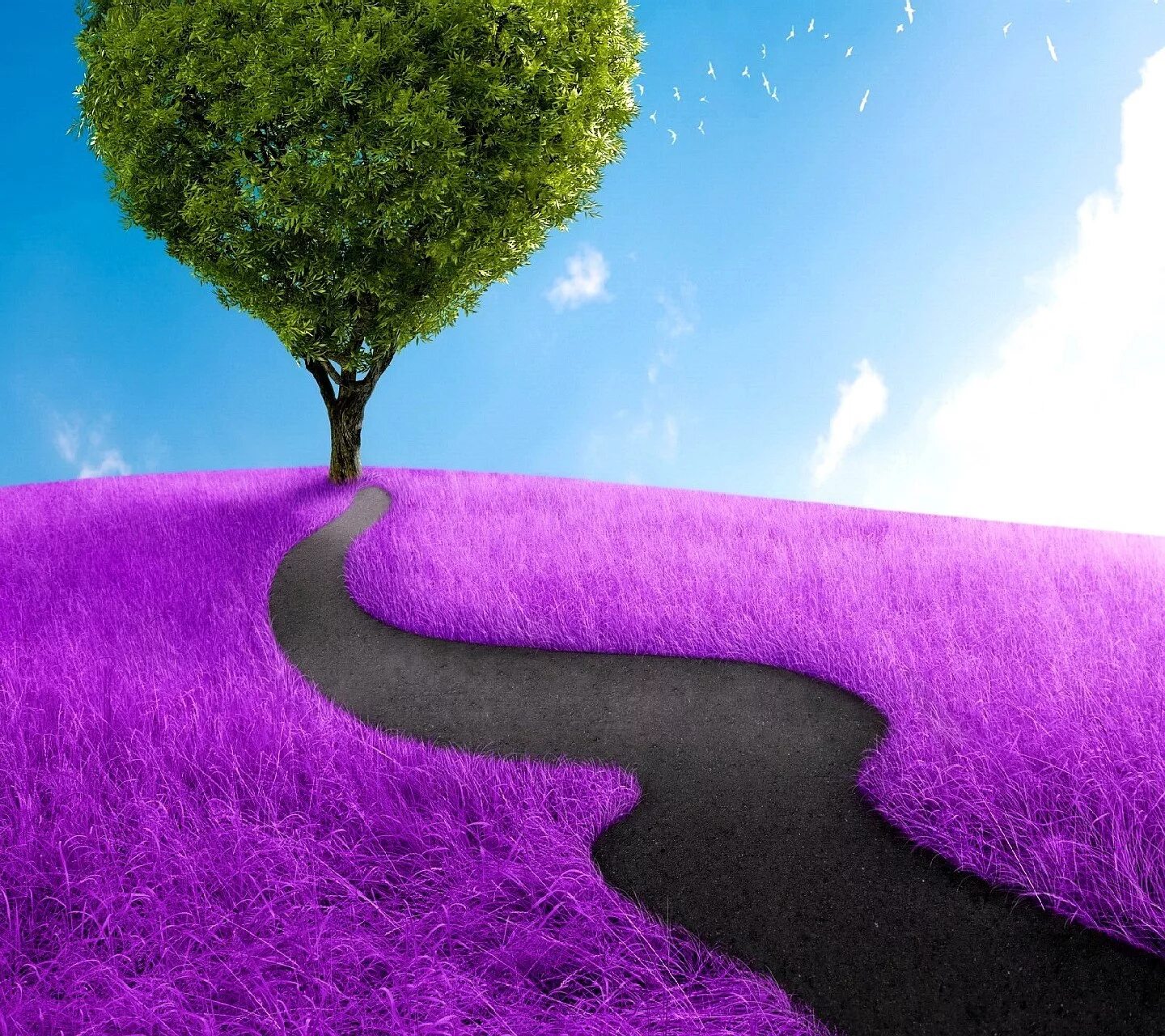 Our path