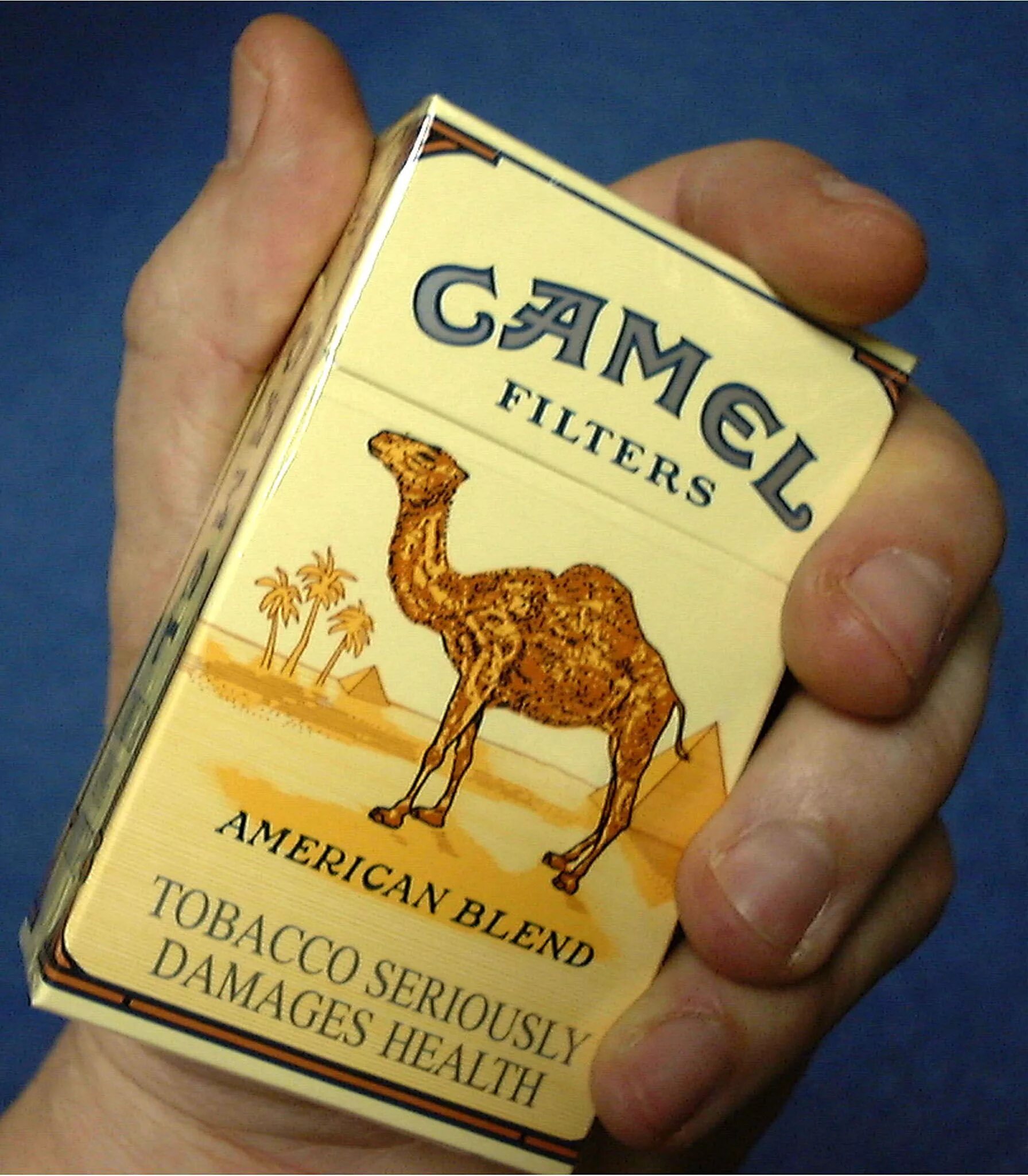 Кемал компакт. Сигареты Camel кэмел желтый. Пачка сигарет кэмел желтый. Camel сигареты Camel желтые. Верблюд на пачке сигарет «кэмел»..