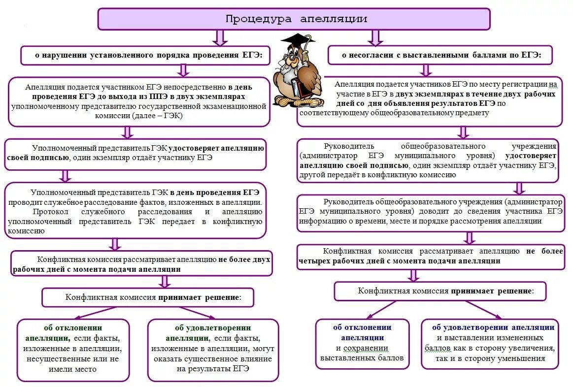 Порядок подачи апелляции ЕГЭ 2022. Памятка об апелляции по ЕГЭ. Порядок апелляции ГИА. Рассмотрение апелляции по ЕГЭ.