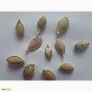 Семечки кунжут кале