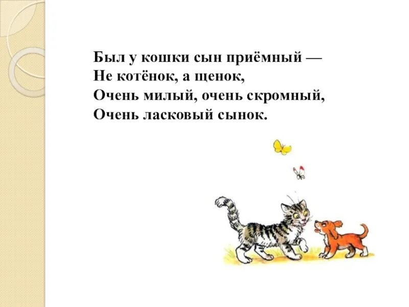 Прочитайте слова котенок. В.Берестова "Кошкин щенок". Стихотворение Кошкин щенок Берестов. Стих кошка и щенок. Был у кошки сын приемный стихотворение.