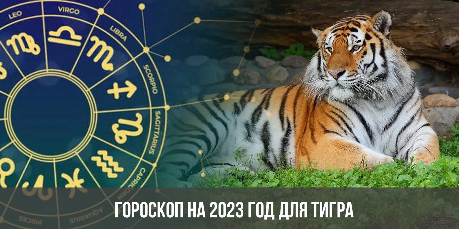 2023 Год год тигра. Астропрогноз на 2023 год. Следующий год тигра. Гороскоп для тигра на 2023. Гороскоп тигр апрель 2024