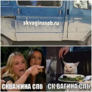 2 девушки и кот