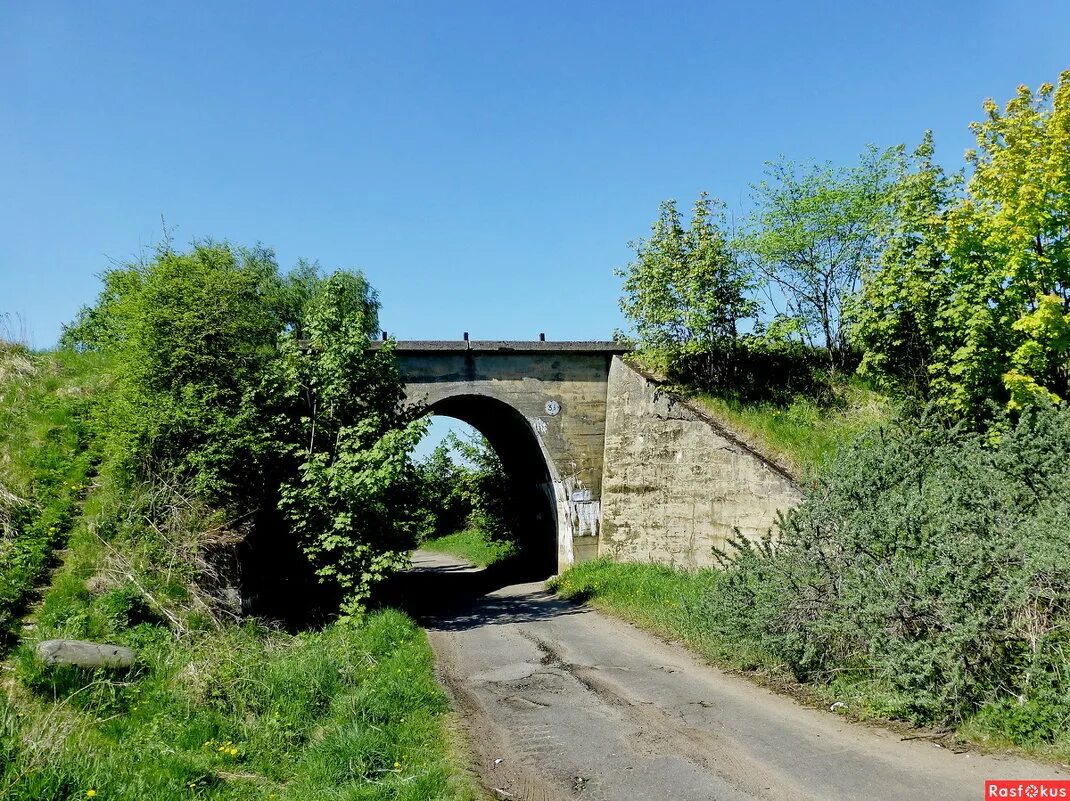 жд линия филино красный профинтерн. филино вологодская область. станция филино ярославская область. филино. ивановская область шуйский район филино.