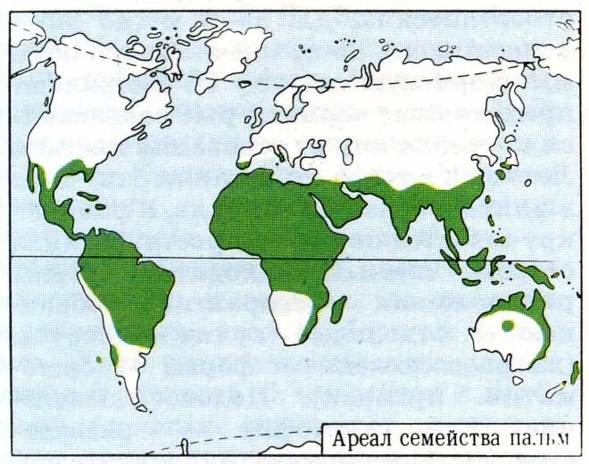 Граб дерево ареал. Финиковая Пальма ареал обитания. Ареал произрастания пальм. Финиковая Пальма ареал. Фиников карта