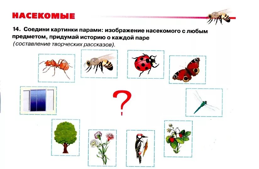 Далее представлены изображениями