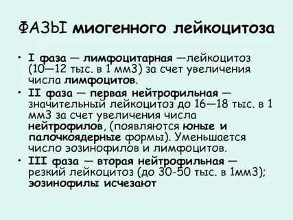 Фазы 01