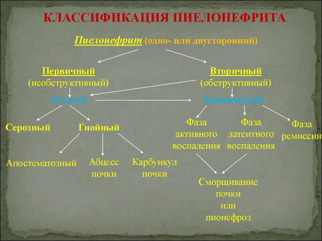 Необструктивный хронический пиелонефрит связанный. Классификация пиелонефрита (н.и. Федюкович 2001 год):. Обструктивный пиелонефрит классификация. Хронический пиелонефрит классификация. Классификация острого пиелонефрита таблица.