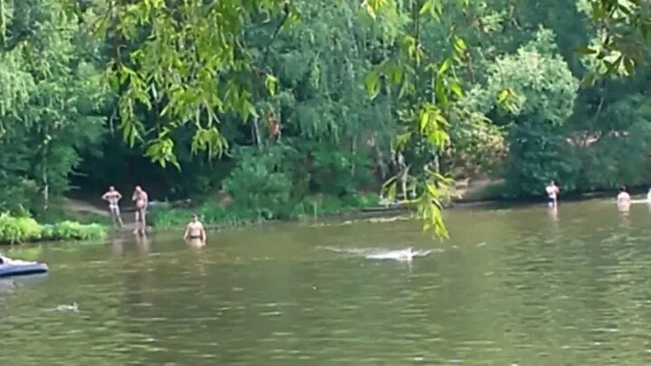 Пляжи серебряного бора видео. Серебряный бор пляж 3. Пляж 3 серебряного бора москва. Серебряный бор пляж 3. Пляж бора-бора в серебряном бору.