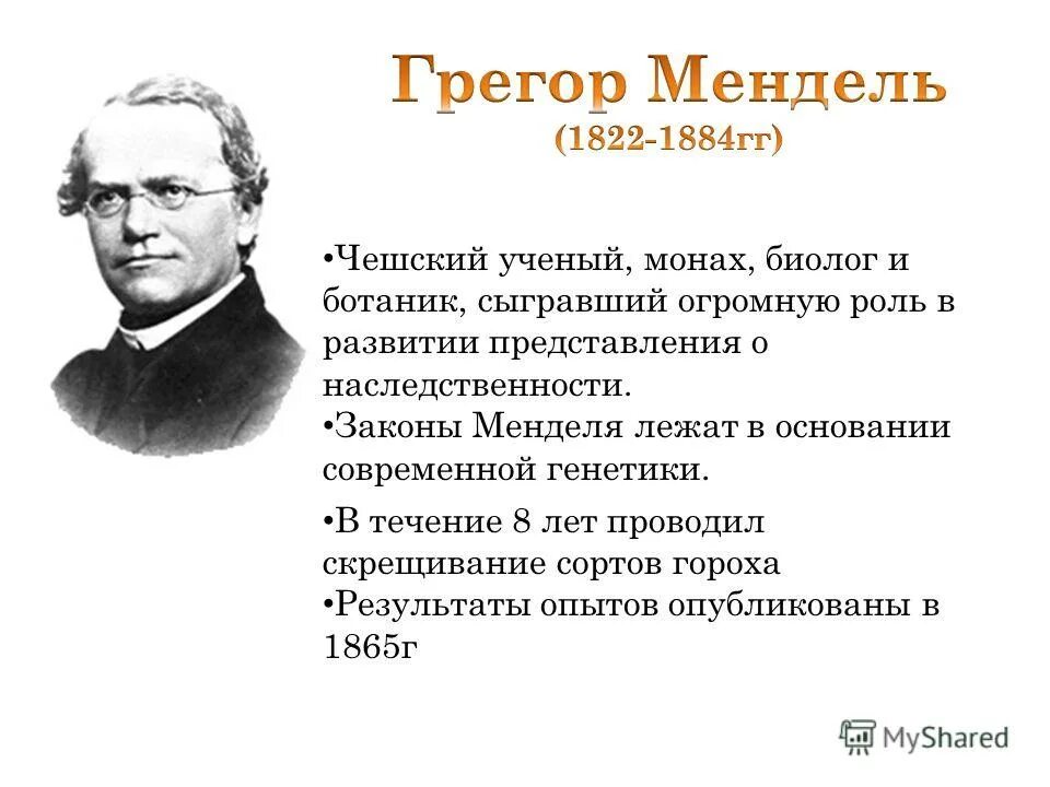 Мендель основы генетики. Грегор Мендель (1822—1884). Грегор Мендель (1822 - 1884г.г.). Биолог Грегор Мендель. Грегор Иоганн Мендель вклад в биологию.