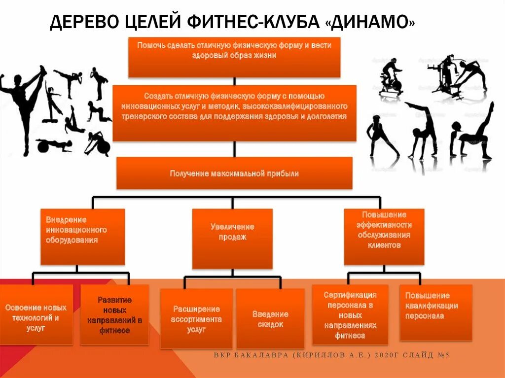 Задачи спортивной организации