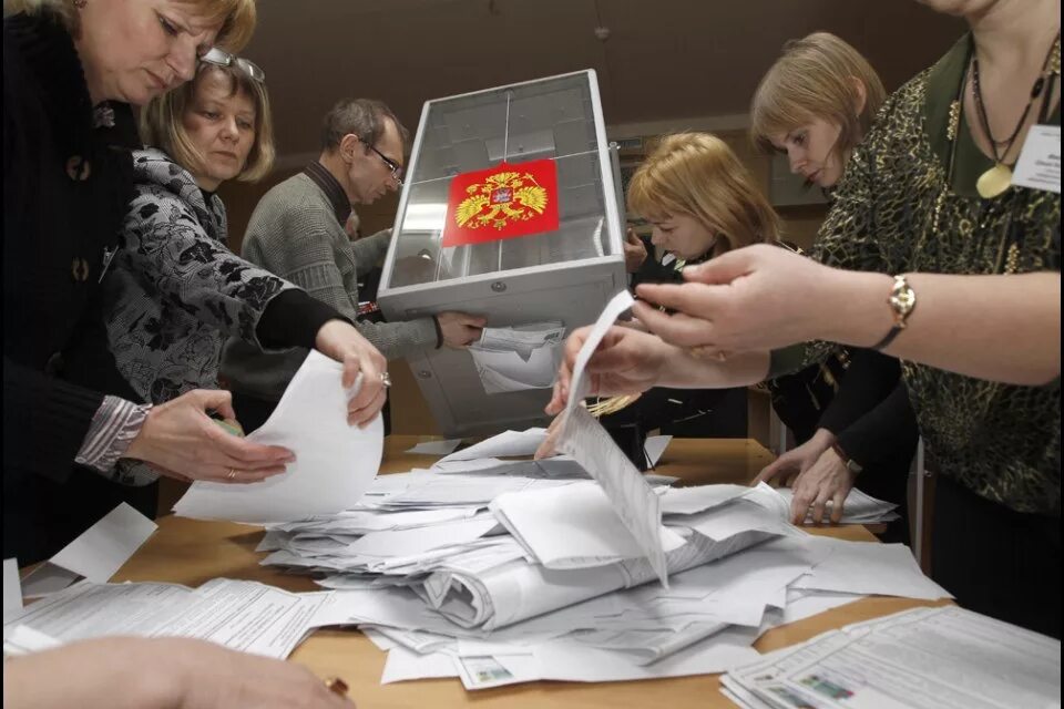 Подсчет голосов избирателей тест. Выборы. выборы в россии. голосование на выборах. подсчет голосов.