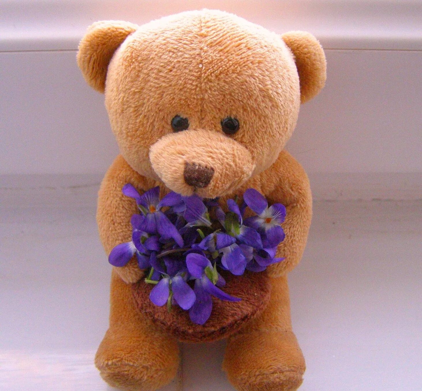 Тедди Беар цветы. Мишка с цветами. Плюшевый мишка с цветами. Медвежонок с цветами. Авито тедди
