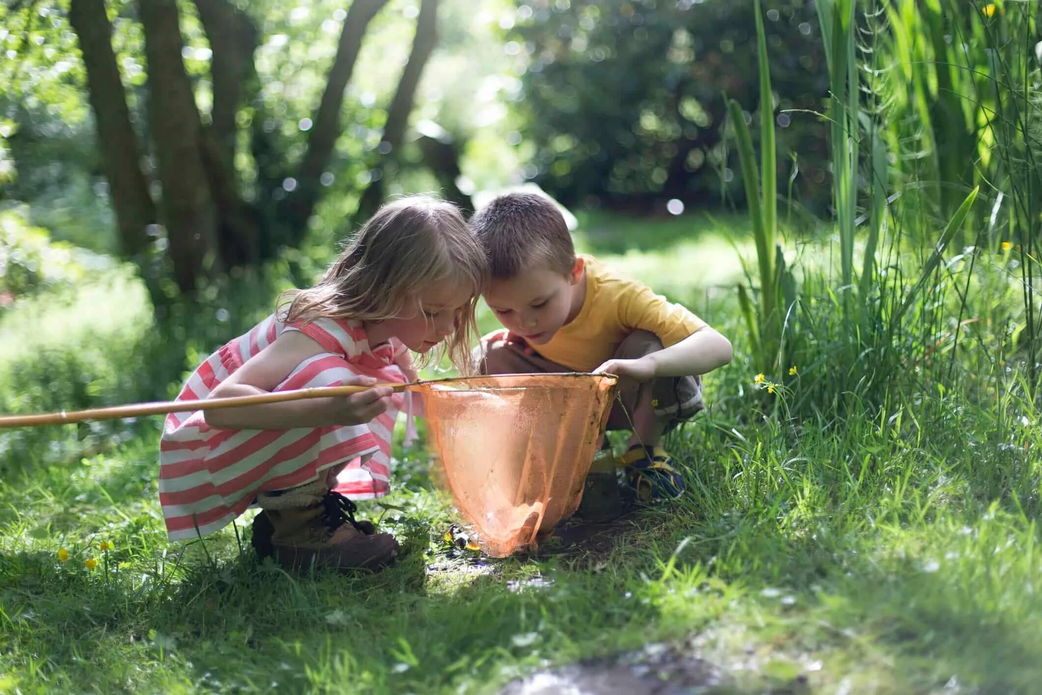 Child nature. Дети и природа. Малыш на природе. Детская фотосессия на природе летом. Любознательность детей.