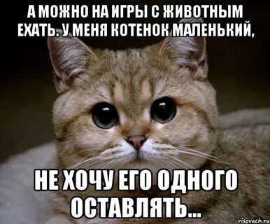 А можно которая