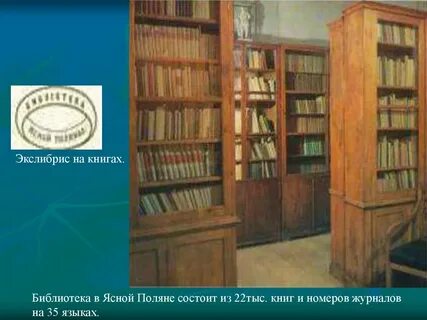 Библиотека л н толстого